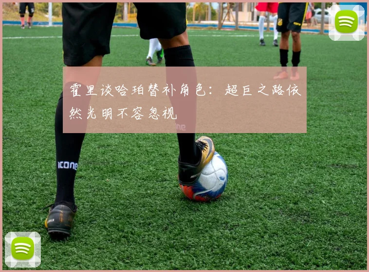霍里谈哈珀替补角色：超巨之路依然光明不容忽视