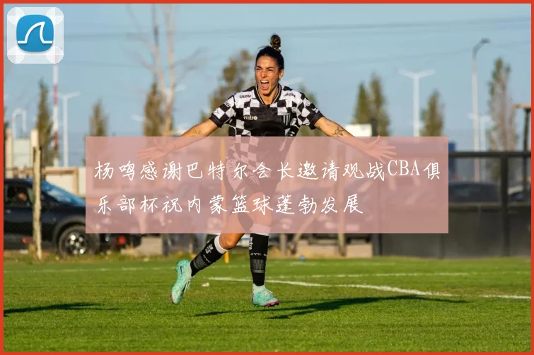 杨鸣感谢巴特尔会长邀请观战CBA俱乐部杯祝内蒙篮球蓬勃发展